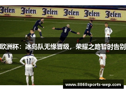 欧洲杯：冰岛队无缘晋级，荣耀之路暂时告别